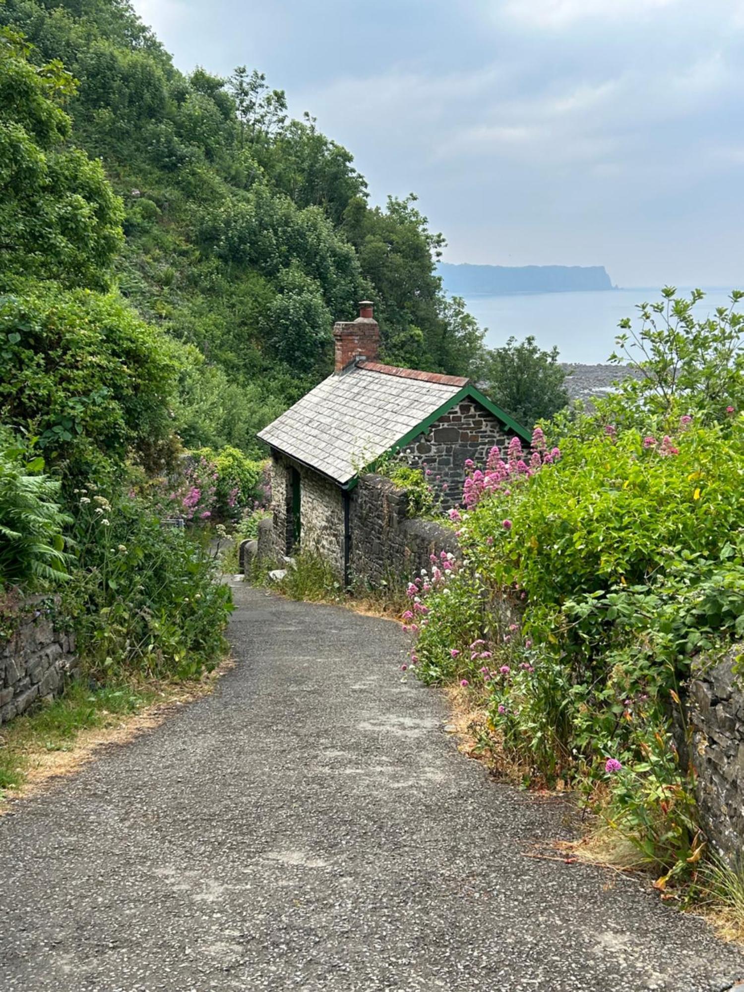 Cosy Boathouse Cottage By The Sea With Log Burner Bucks Mills Exterior photo