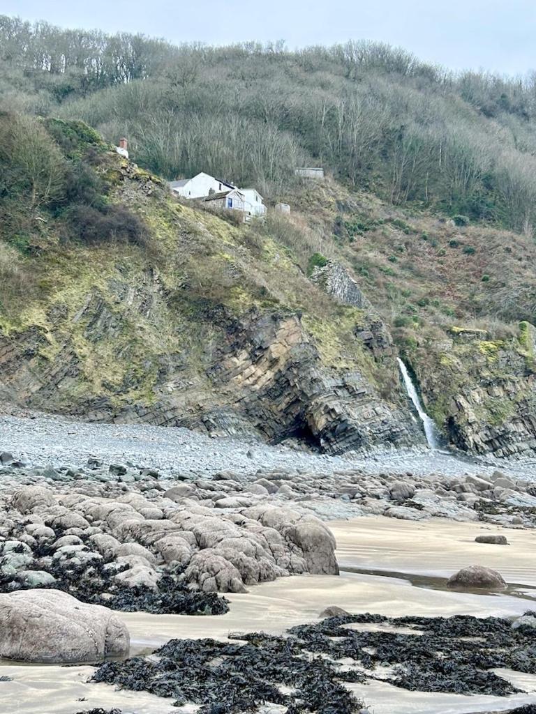 Cosy Boathouse Cottage By The Sea With Log Burner Bucks Mills Exterior photo